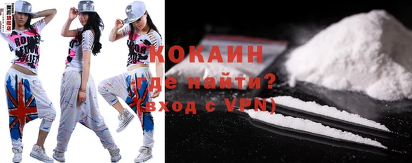 гашик Семилуки