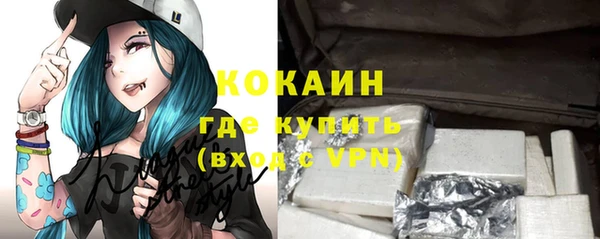 гашик Семилуки