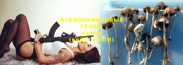 гашик Семилуки