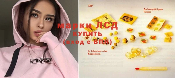 гашик Семилуки