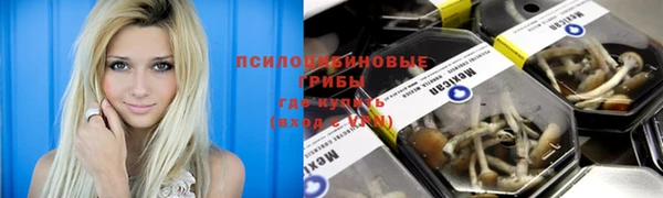 гашик Семилуки