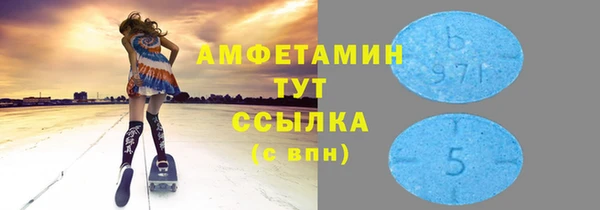 гашик Семилуки