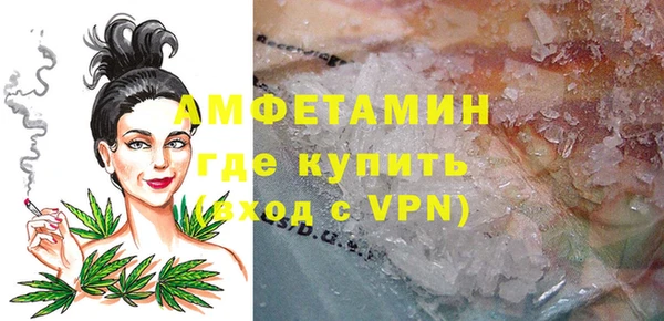 гашик Семилуки