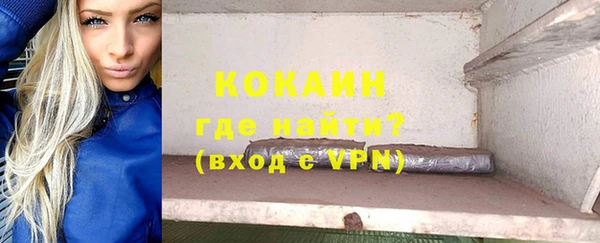 гашик Семилуки