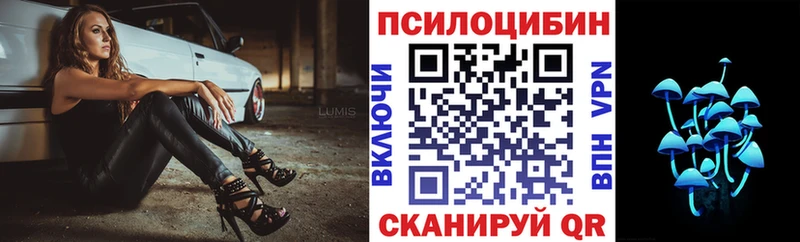 Купить  Сарапул  Галлюциногенные грибы Psilocybine cubensis 